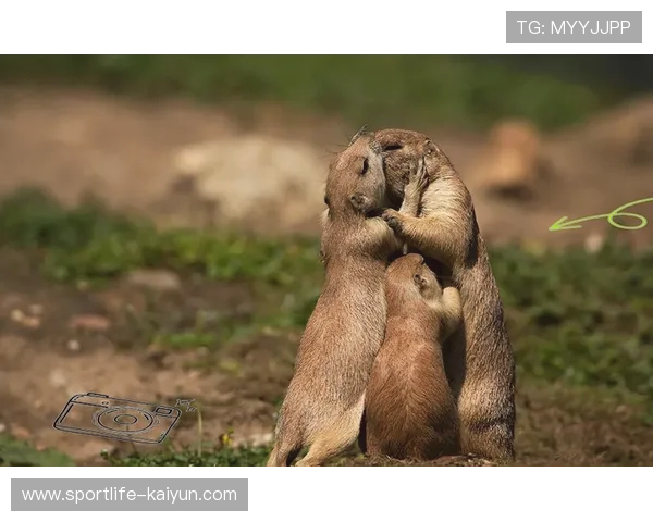 足球明星浪漫接吻瞬间曝光 激动时刻引发全球粉丝热议